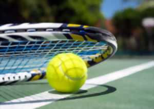 TOURNOI DE TENNIS OPEN