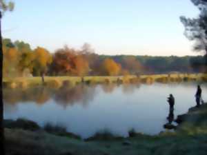 Visites nature, initiations et découvertes
