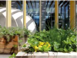 Bourse d'échanges de graines et de plantes