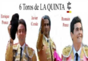 Grande corrida