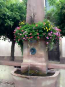 photo Fête de la fontaine