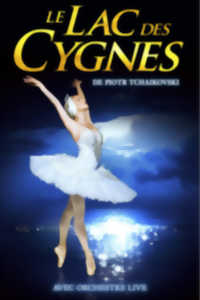 LE LAC DES CYGNES