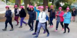 photo Club Vosgien : Marche rose contre le cancer