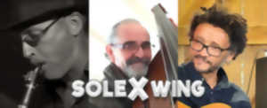 SPECTACLES AU JARDIN : SOLEXWING