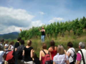 photo Découverte de la vigne et du vin