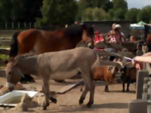 Ferme Pédagogique de la Béchère