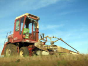 Fête de l'ensilage à l'ancienne