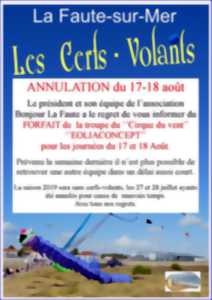 Week-end cerfs-volants