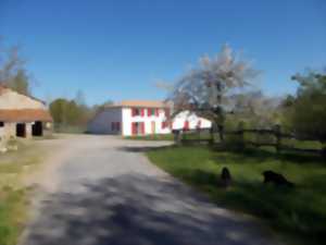 Découverte de la ferme La Riberderie