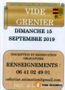 Vide-greniers