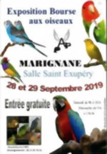 Exposition et bourse aux oiseaux