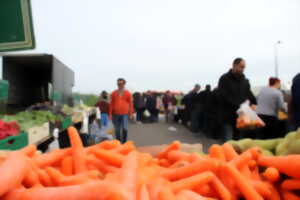 Marché de Saint-Jean-le-Blanc - Dimanche