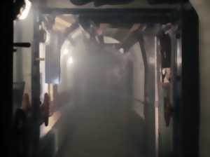 photo Halloween au Bambesch : jeu de piste d'Halloween