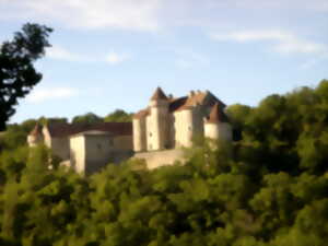 Visite du Château de Vaillac