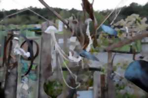 La Recyclerie d'Anduze