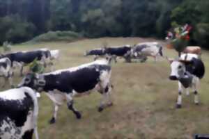 photo Club Vosgien : La Transhumance
