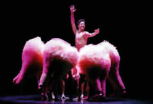TUTU