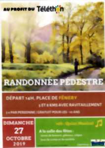 Randonnée pédestre