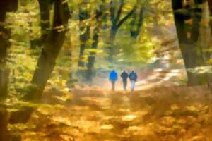 photo Marcher, découvrir, aimer Arcachon !