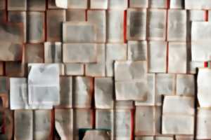 Exposition Bibliobox, Îlot Rêve et Flanerie