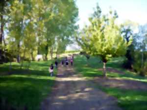 Dordogne Nature Environnement Sports Et Loisirs Randonnee Pedestre Des Marcheurs De La Vallee De La Dordogne Agenda Mouleydier 24520 calendrier randonnée pédestre dordogne 2021