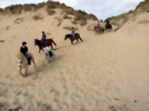 Balade à cheval en Baie d’Authie