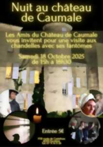 photo Nuit au Château de Caumale