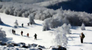 Week-end montagne : balades en raquettes