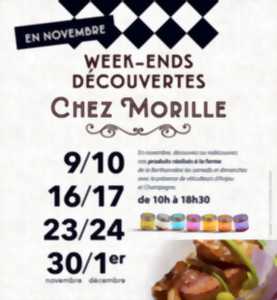 Les Week-ends Découvertes Chez Morille