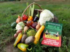 photo Marché à la ferme de Combrand