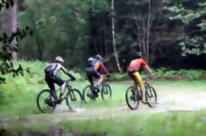 Randonnée VTT