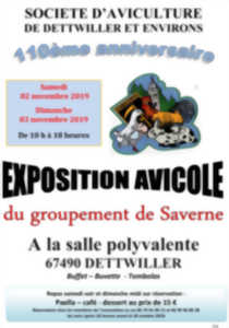 Exposition Avicole à Dettwiller