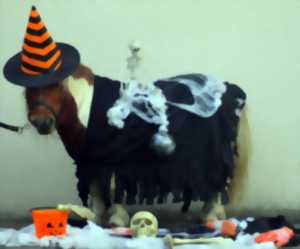 Défilé d'Halloween