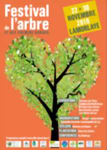 Festival de l'Arbre à Lamorlaye