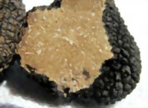 Marché au Gras & aux truffes