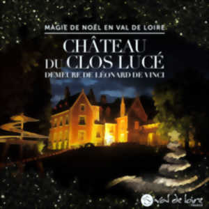 photo Fééries de Noël au château du Clos Lucé