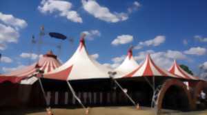 Cirque de Noël : Magical show