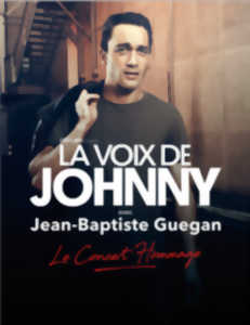 LA VOIE DE JOHNNY