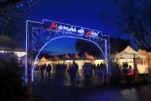 La semaine de Noël à Biscarrosse, son marché & ses animations