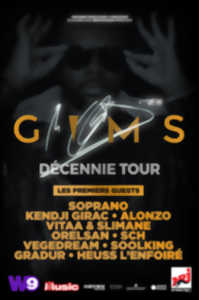 GIMS - DECENNIE TOUR