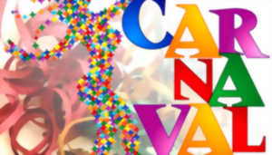 photo Soirée carnavalesque