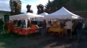 Marché des Fanes de Carottes