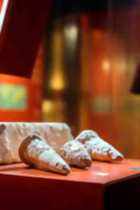 photo Exposition temporaire du musée Champollion 