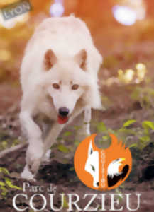 PARC ANIMALIER DE COURZIEU