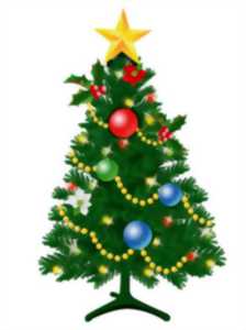 Crémation des sapins