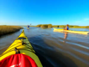 photo Sortie en kayak de mer - Découverte du delta de l'Eyre et du Bassin d'Arcachon
