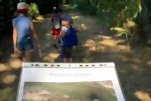 photo Atelier nature: Ma vie de sterne  ( à partir de 7 ans)