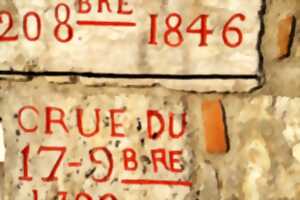 photo Balade Loire : Le secret des libellules