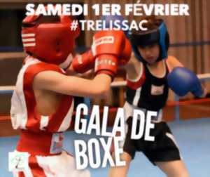 Gala de Boxe éducative