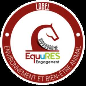 photo Courses hippiques - Tout galop